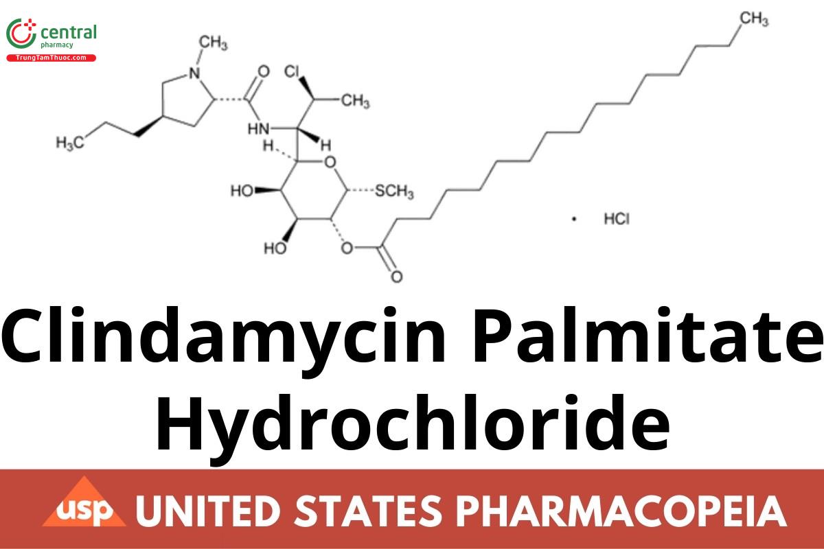 Clindamycin Palmitate Hydrochloride