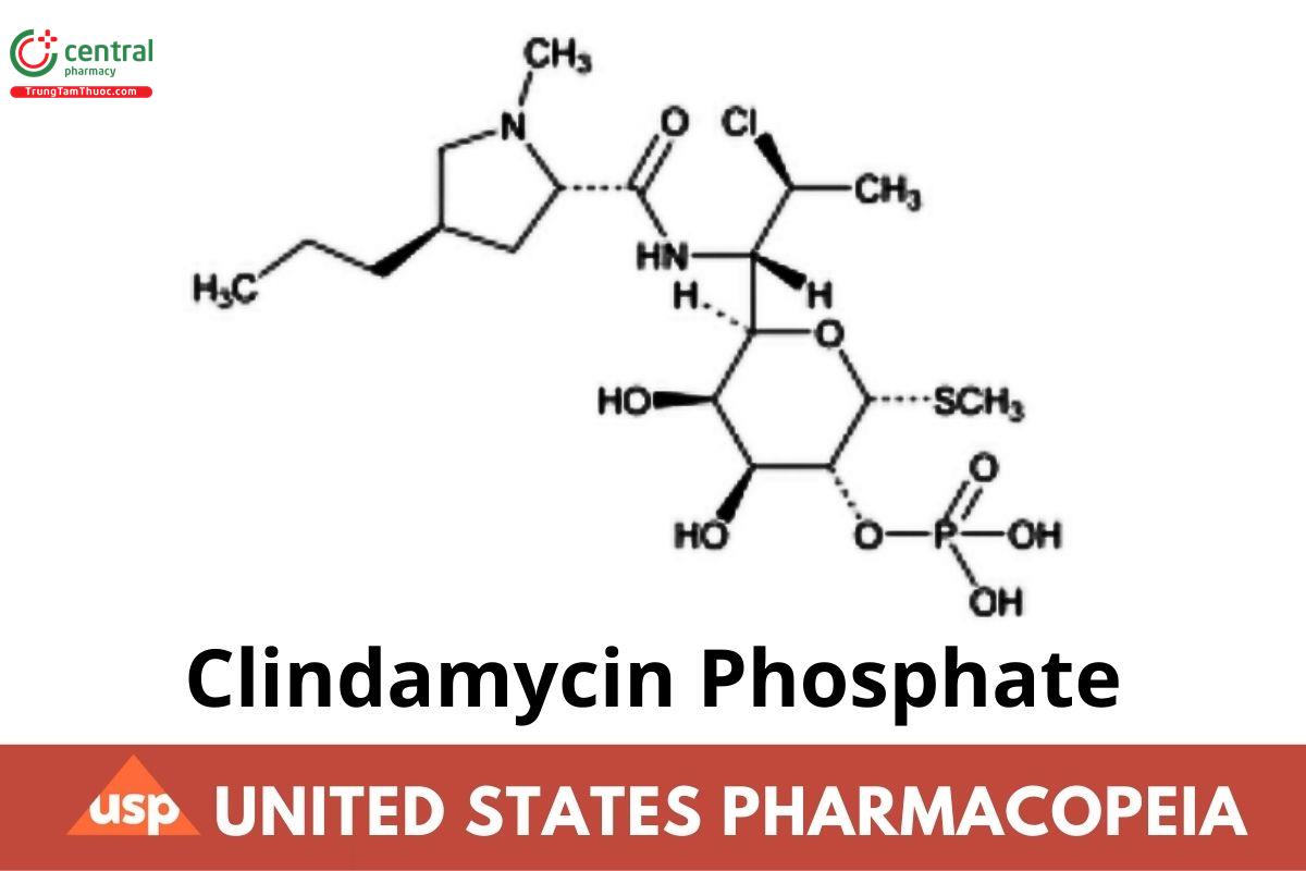 Clindamycin Phosphate
