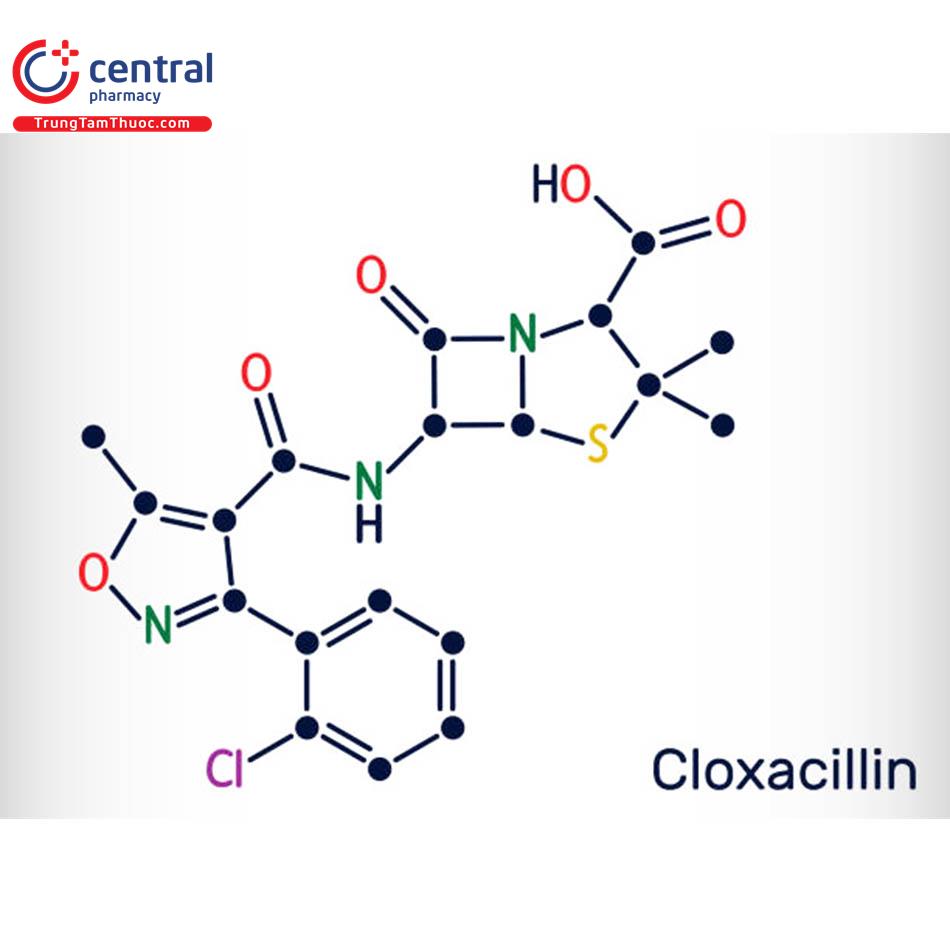 Cloxacilin