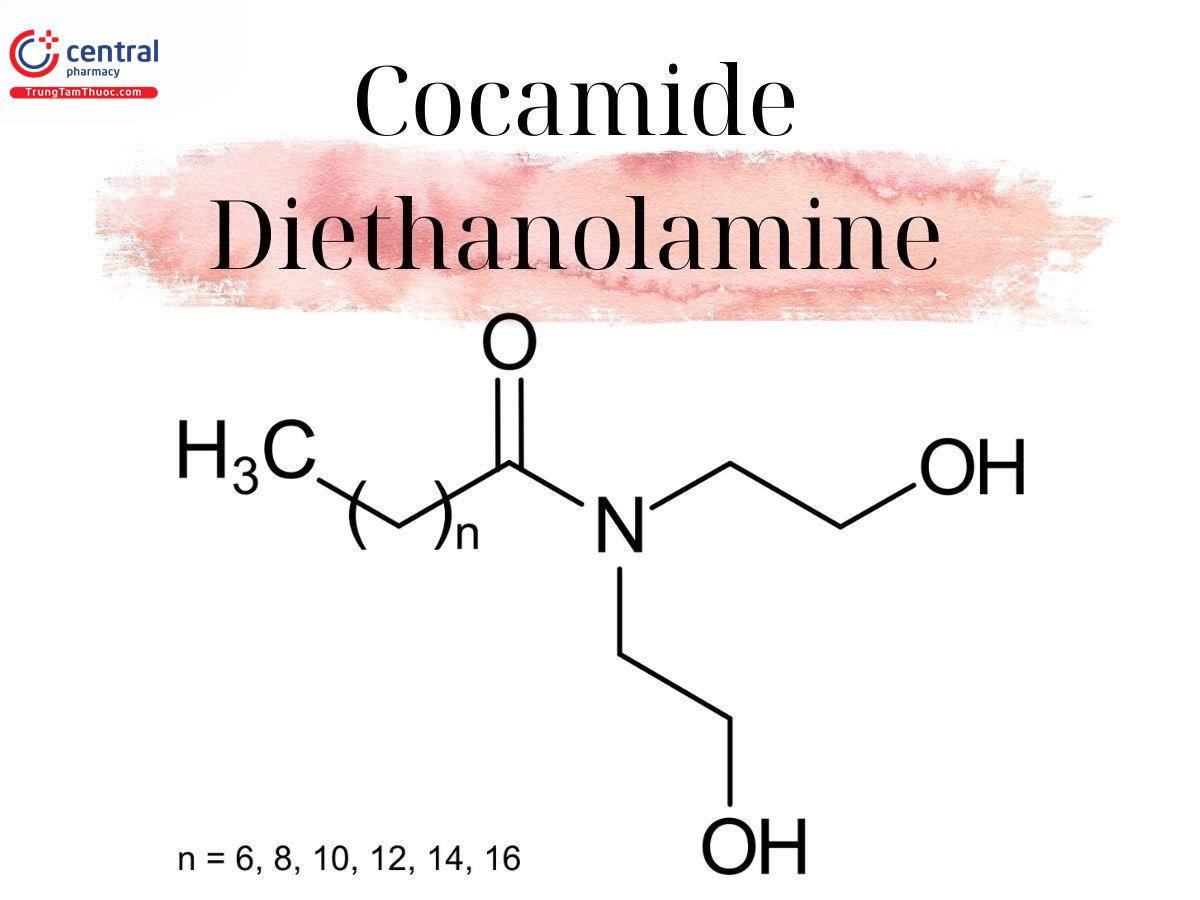  Cocamide Diethanolamine/ Palm Kernel Oil 