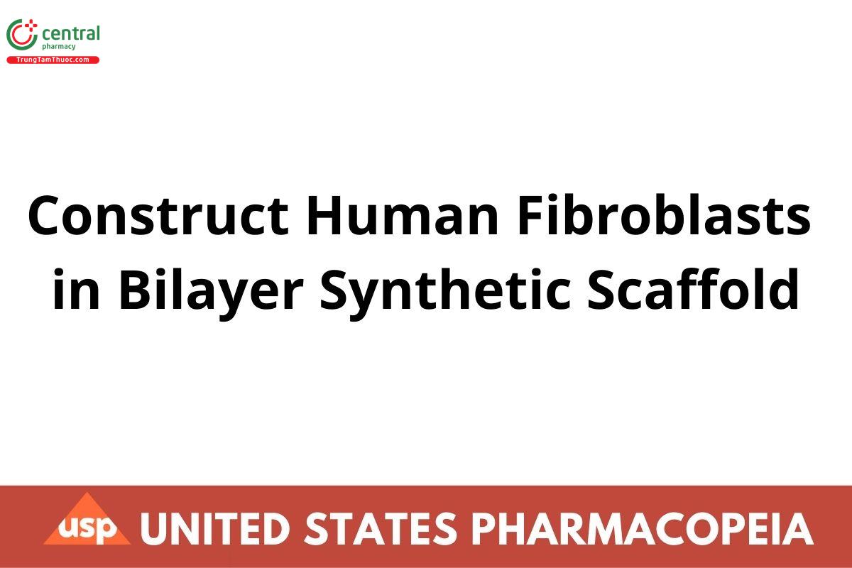 Construct Human Fibroblasts in Bilayer Synthetic Scaffold