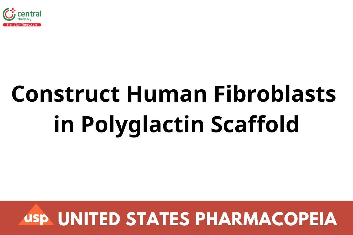 Construct Human Fibroblasts in Polyglactin Scaffold