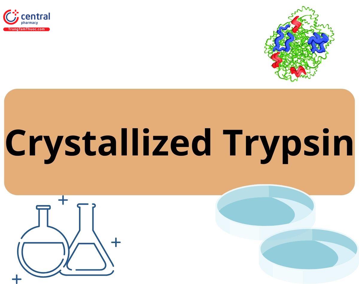 Crystallized Trypsin