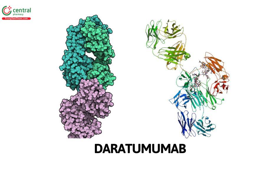 Daratumumab