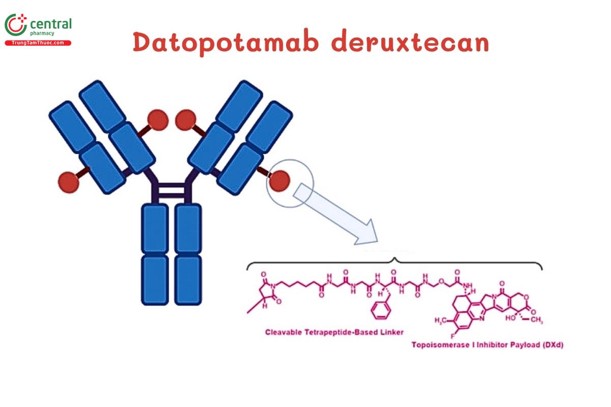 Datopotamab deruxtecan