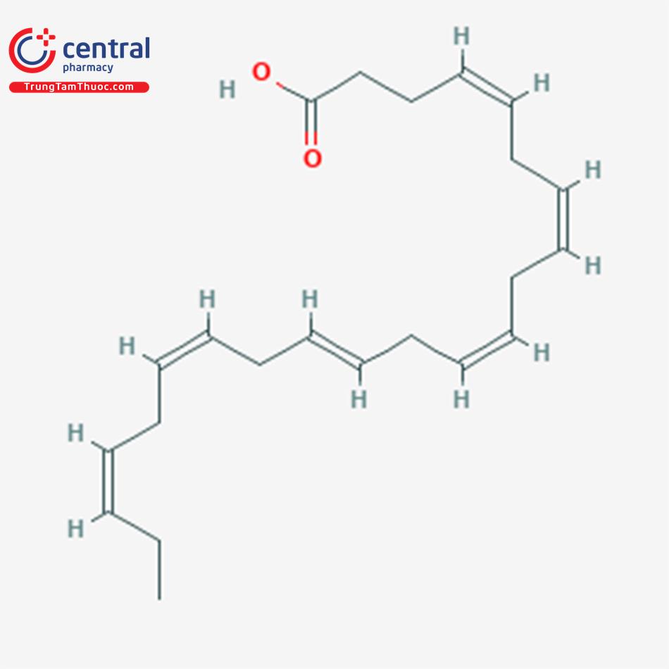 DHA (Acid Docosahexaenoic)