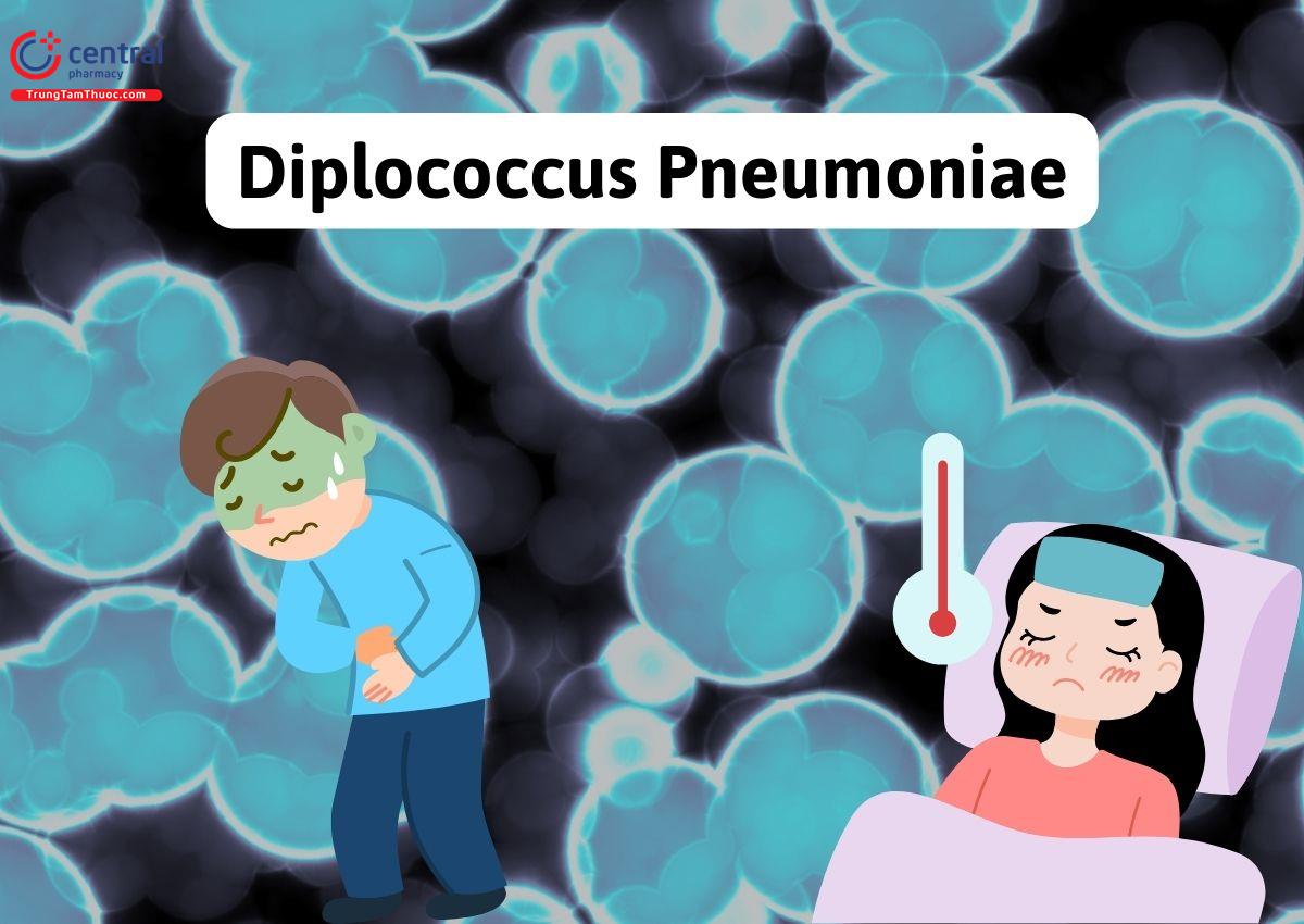 Diplococcus Pneumoniae