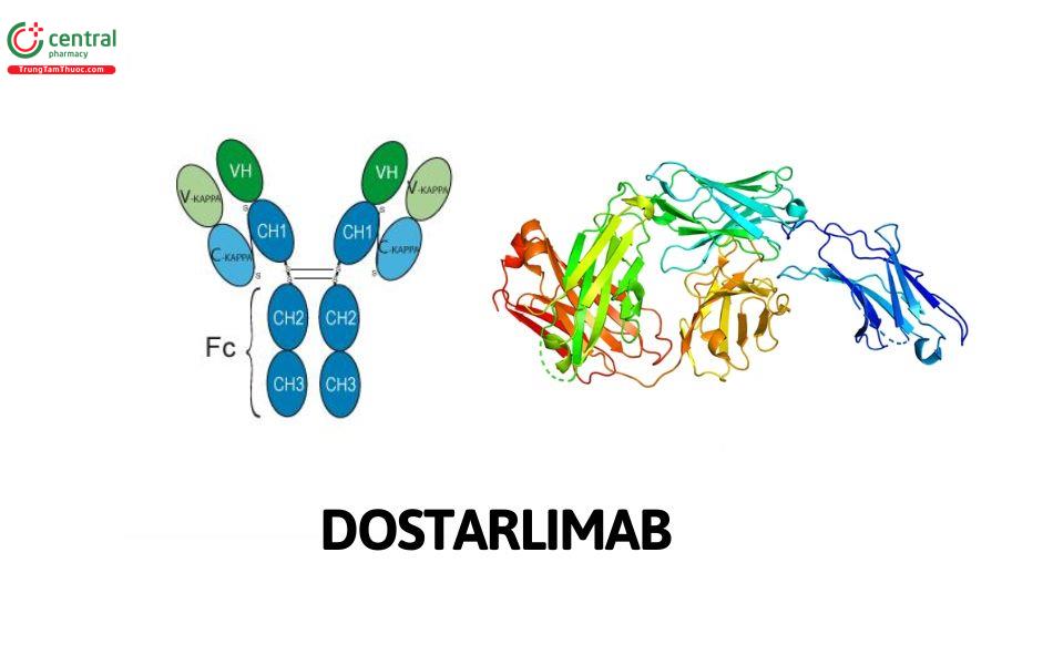 Dostarlimab