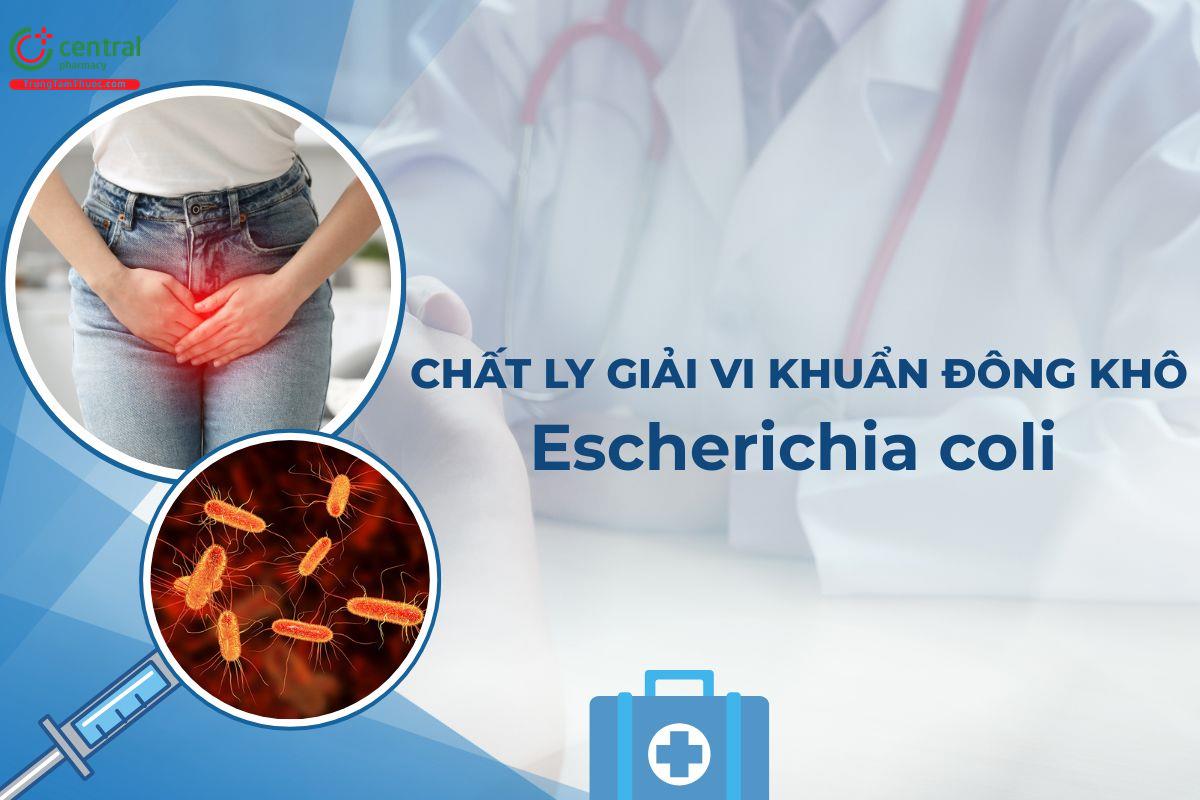 Chất ly giải vi khuẩn đông khô Escherichia coli