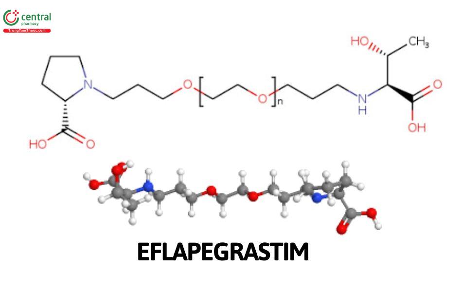 Eflapegrastim