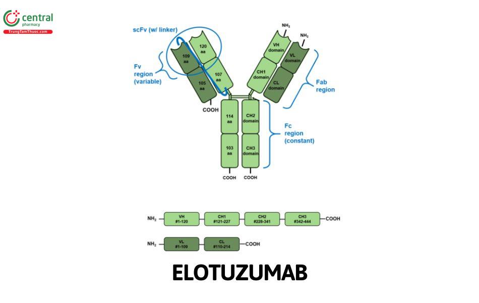 Elotuzumab