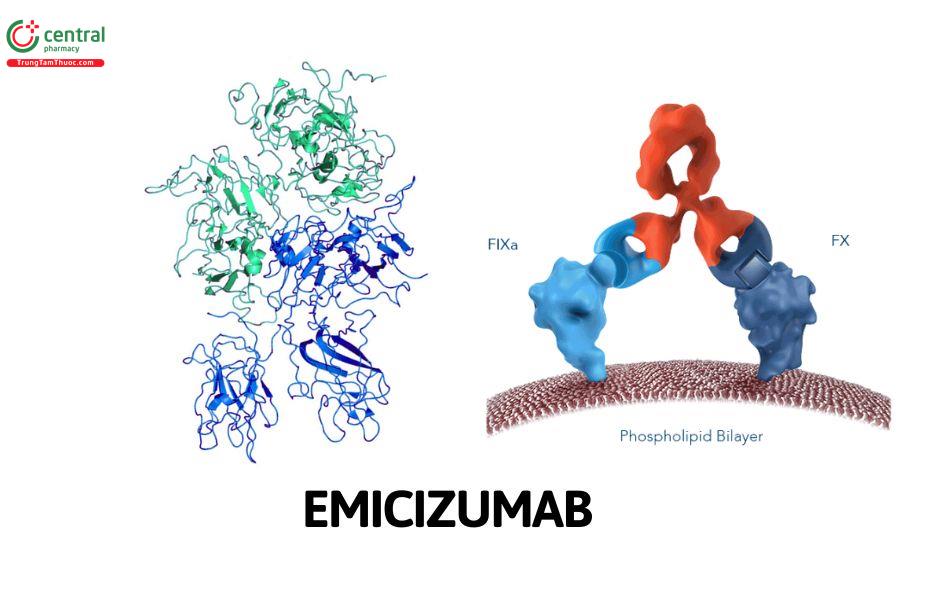 Emicizumab