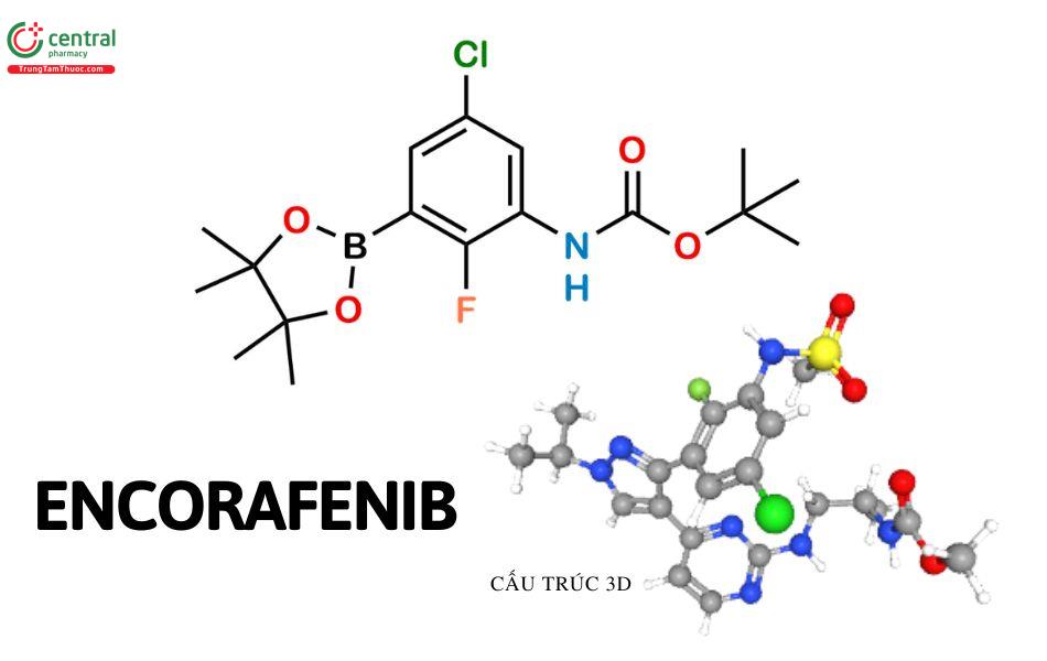 Encorafenib 