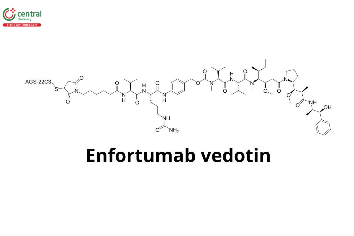 Enfortumab Vedotin