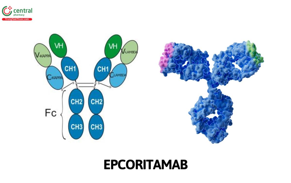 Epcoritamab