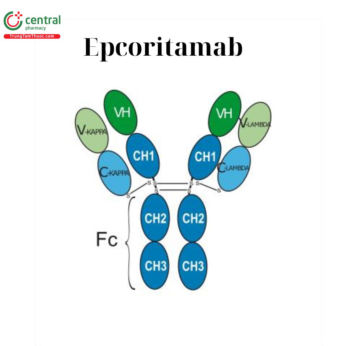 Epcoritamab