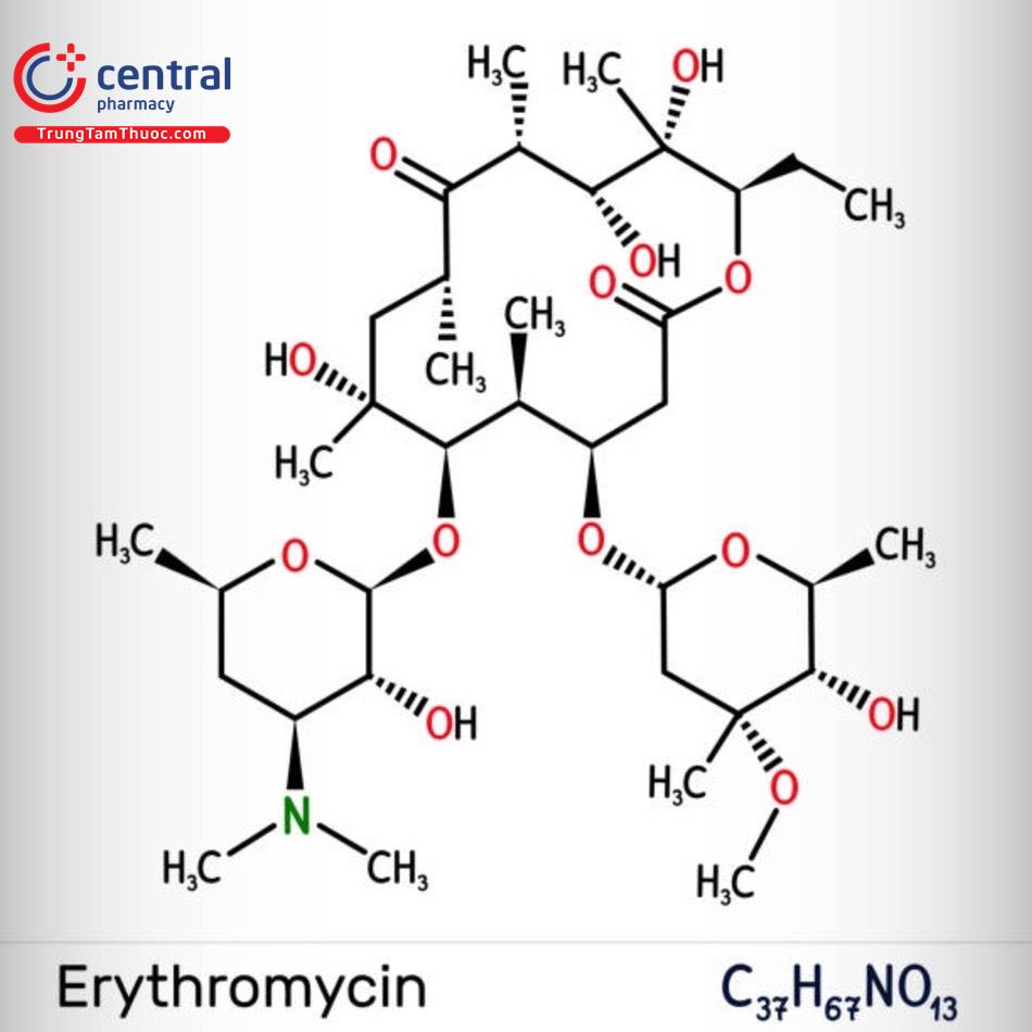 Erythromycin