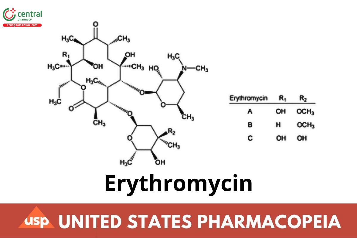 Erythromycin