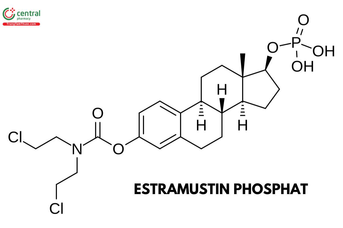 Estramustin phosphat (Estramustine phosphate, Estramustine sodium phosphate)