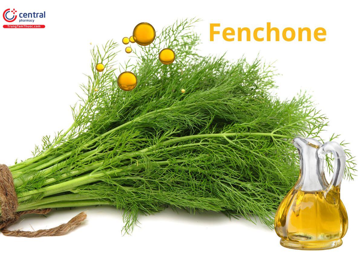 Fenchone 