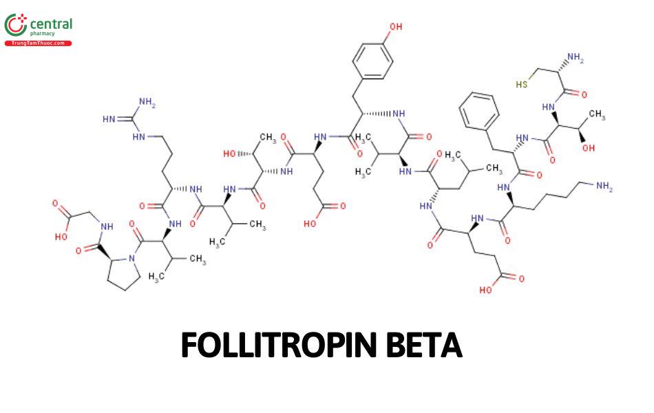 Follitropin Beta