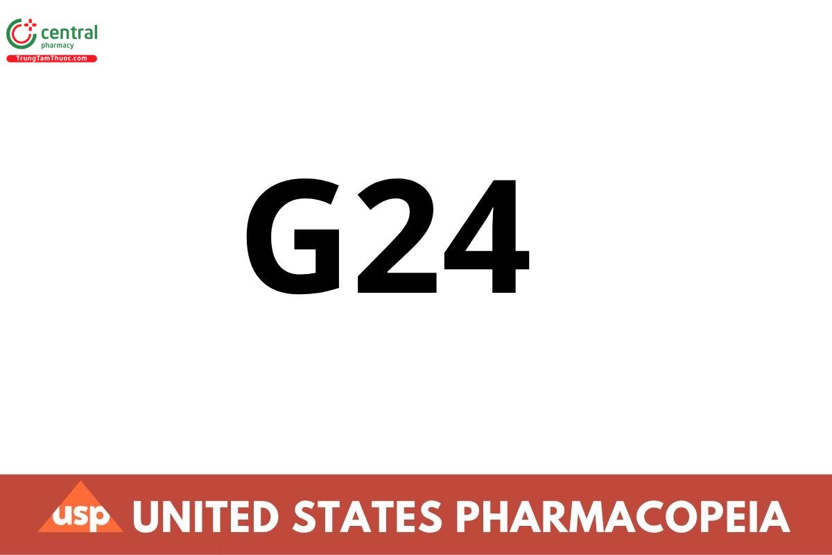 G24