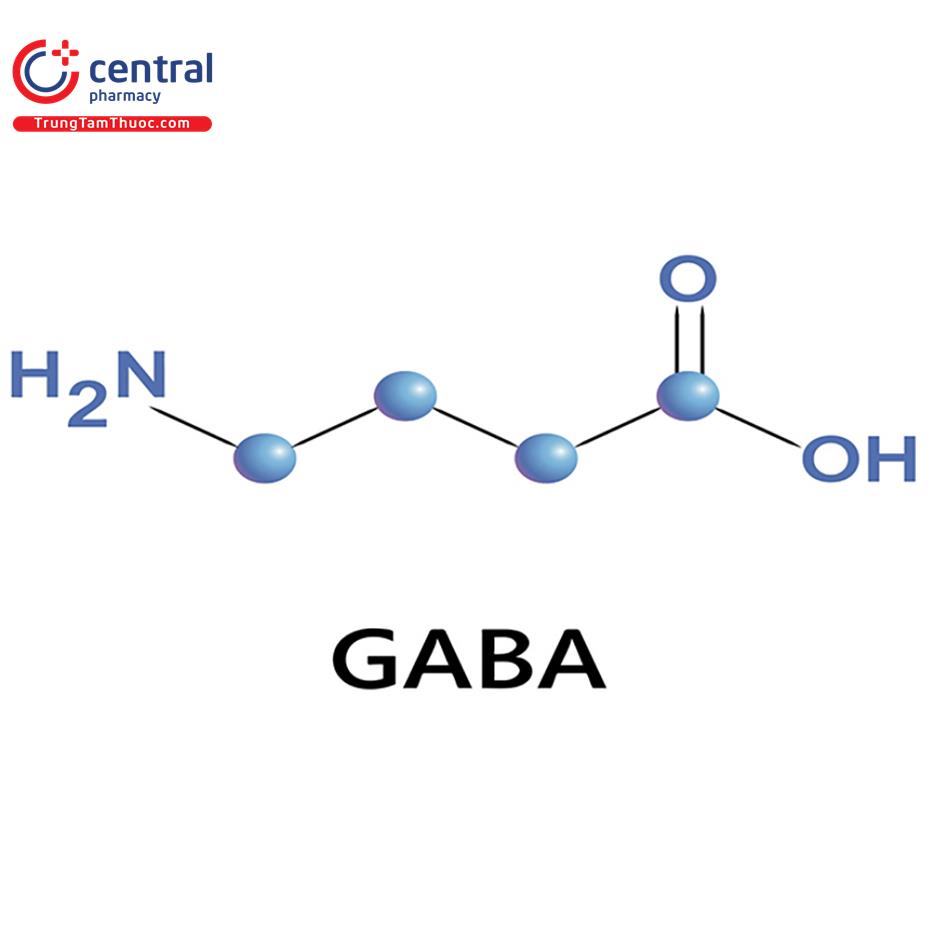 Gamma-Aminobutyric Acid (GABA)