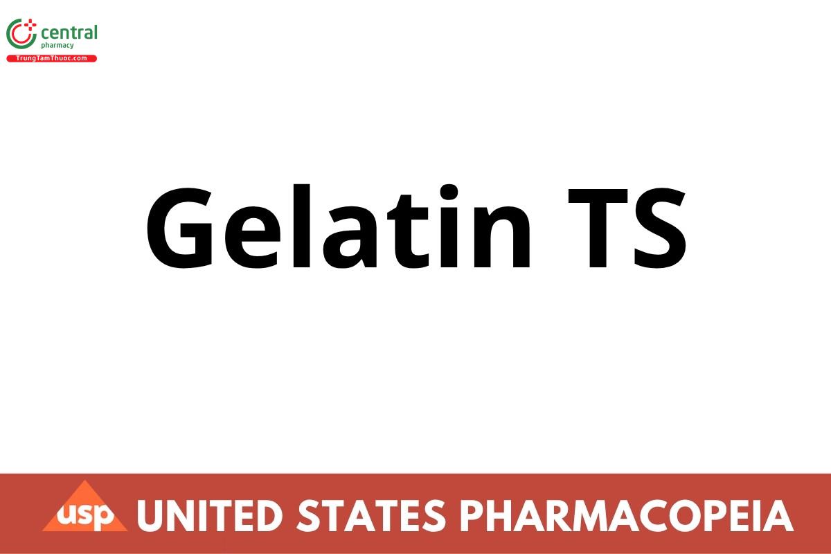 Gelatin TS