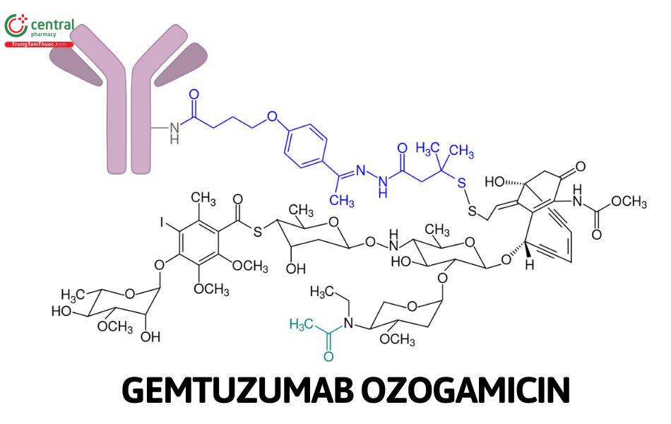 Kháng thể Gemtuzumab ozogamicin