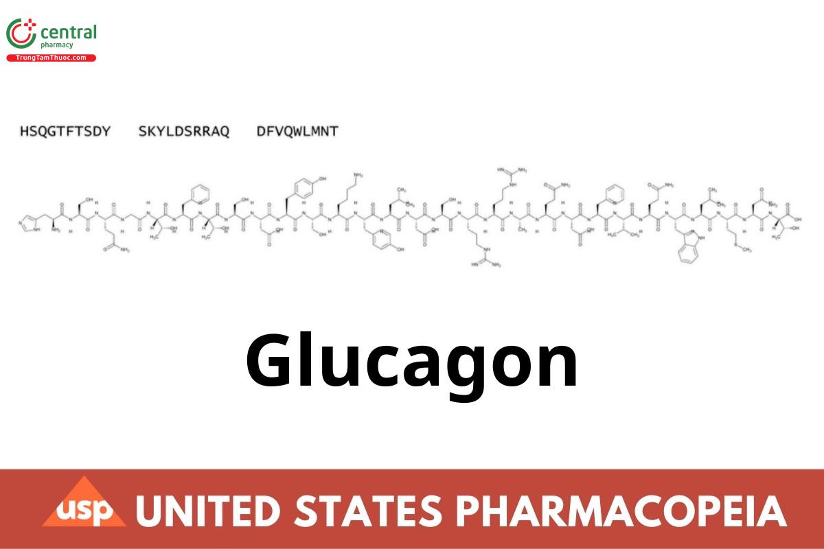 Glucagon