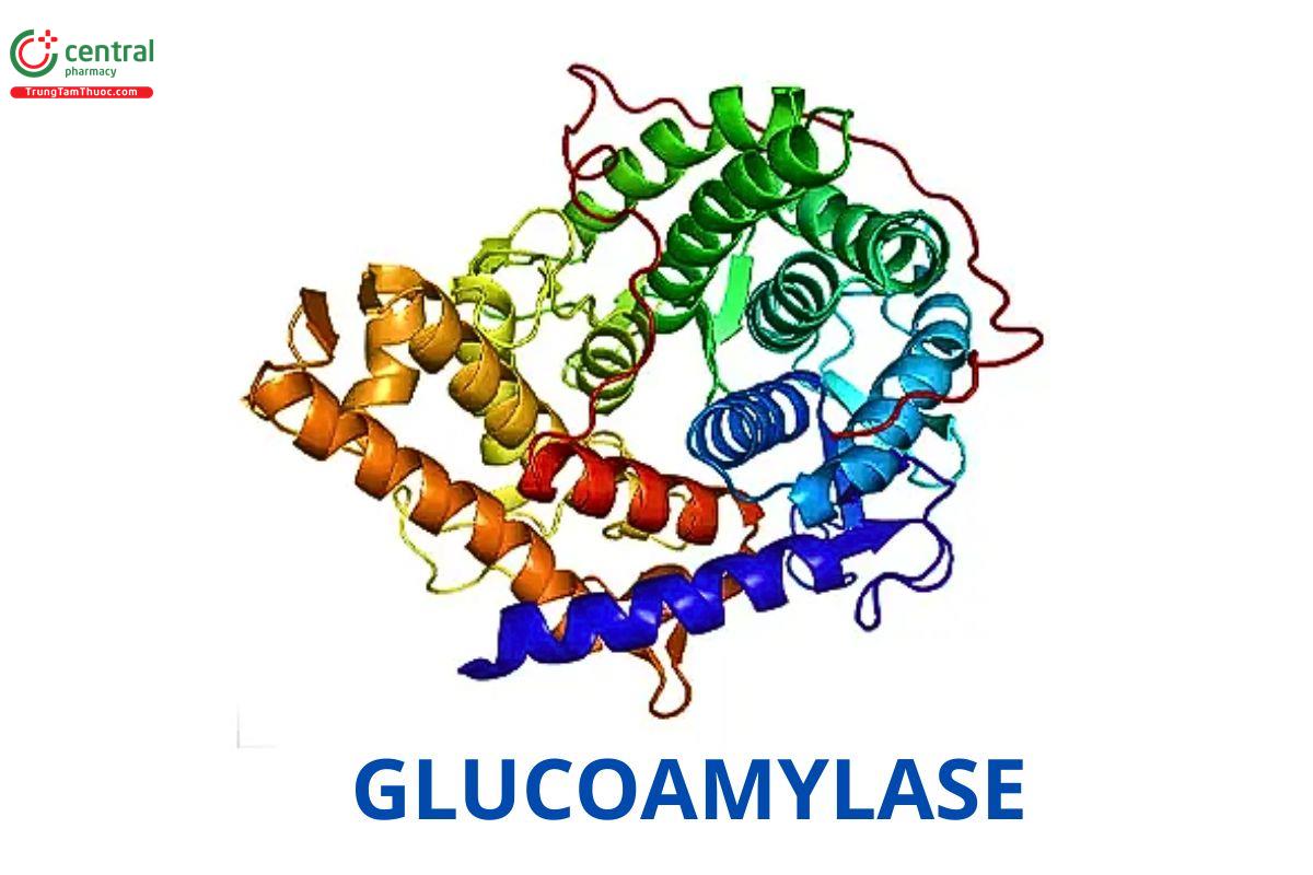 Glucoamylase