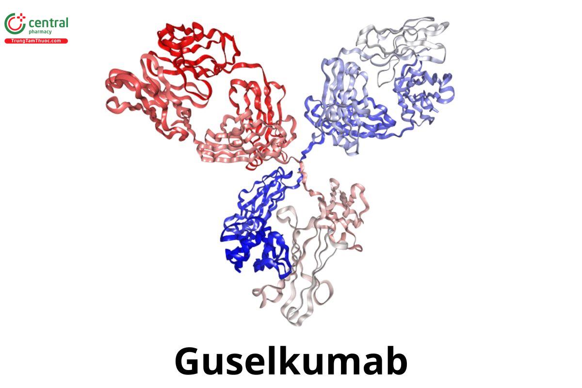 Guselkumab