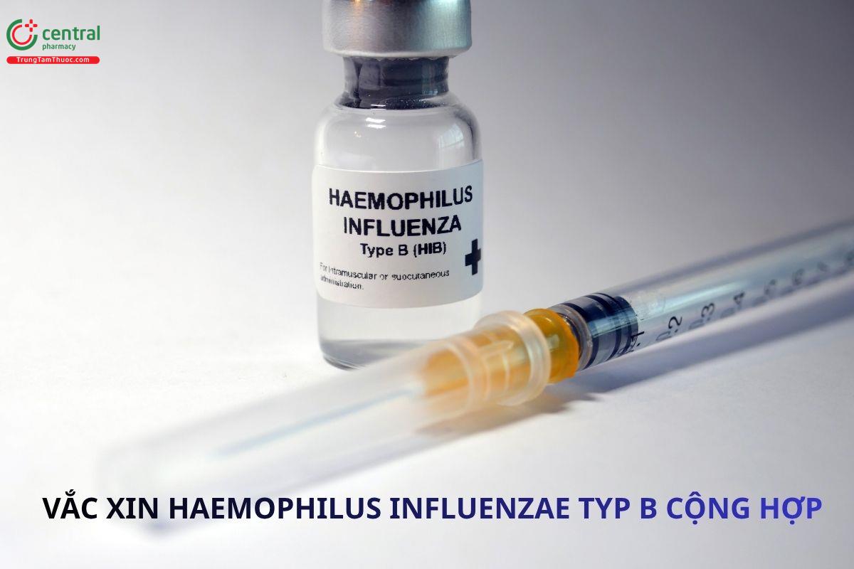 Vắc xin Haemophilus Influenzae typ B cộng hợp