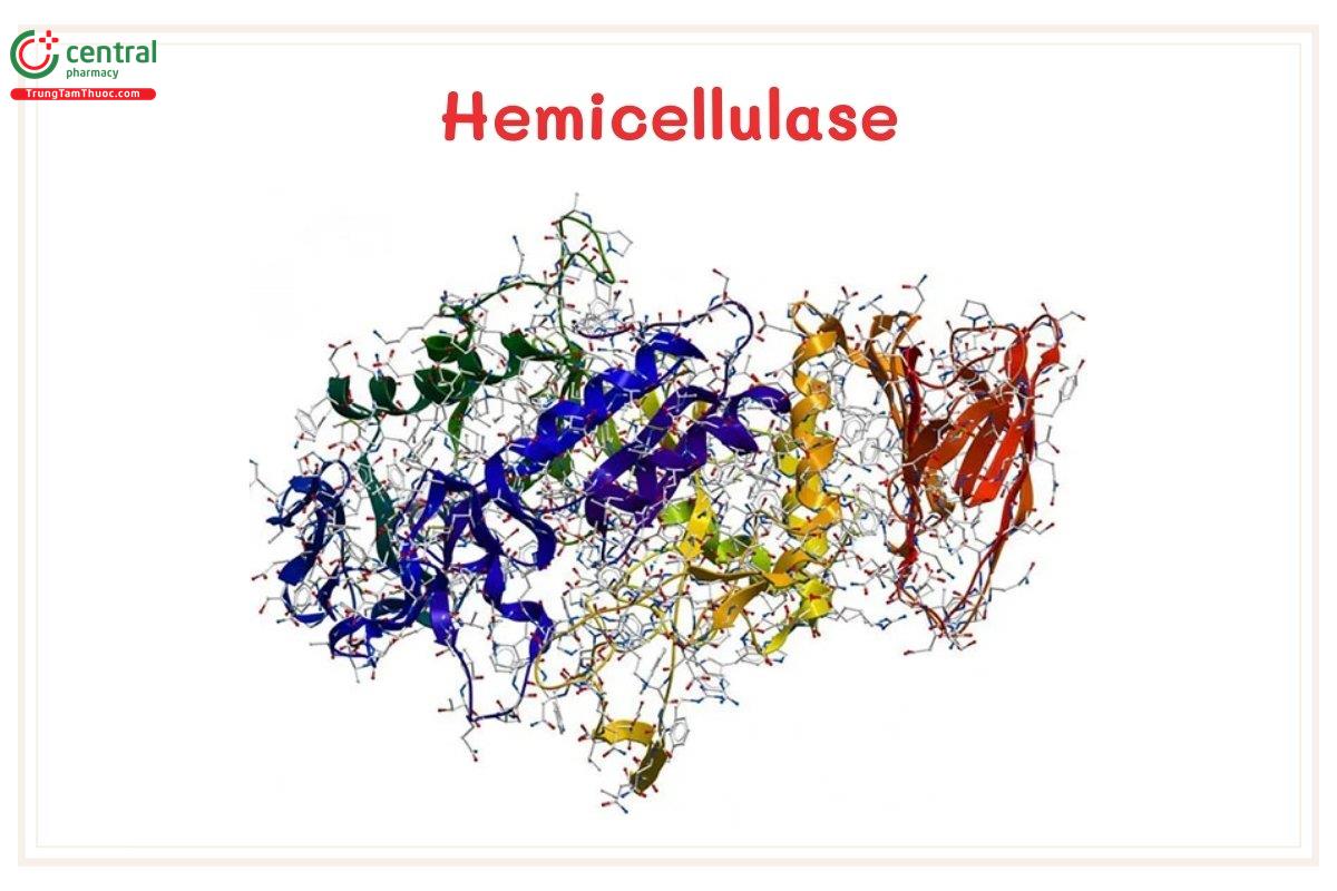 Hemicellulase