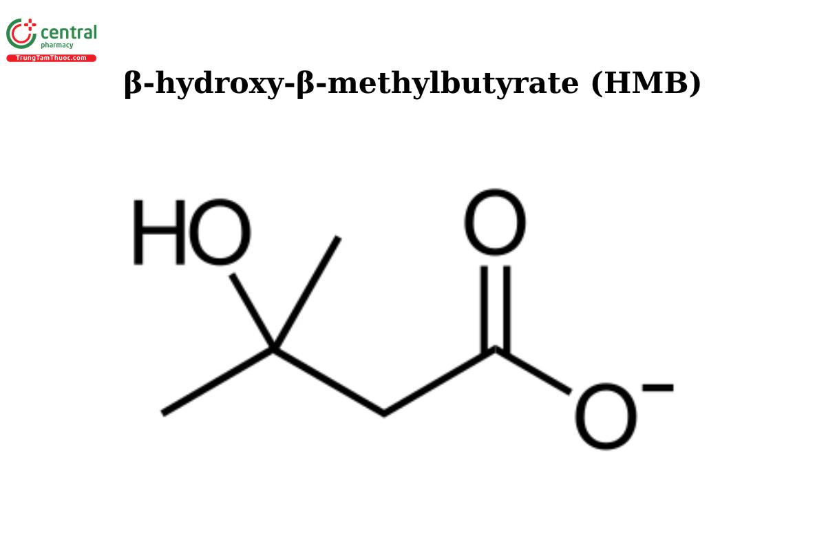 β-hydroxy-β-methylbutyrate (beta-hydroxy beta-methylbutyrate) (HMB)