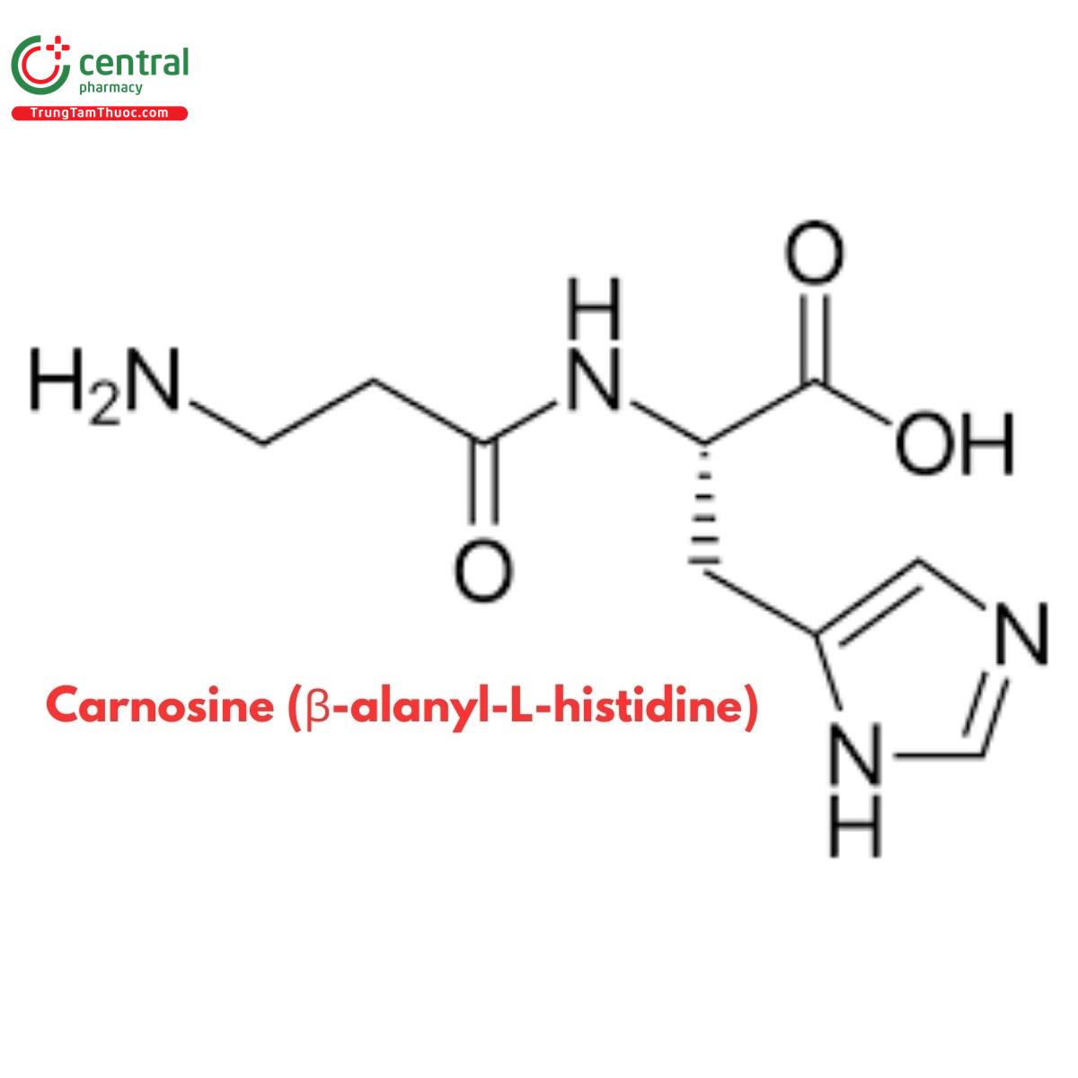 Carnosine
