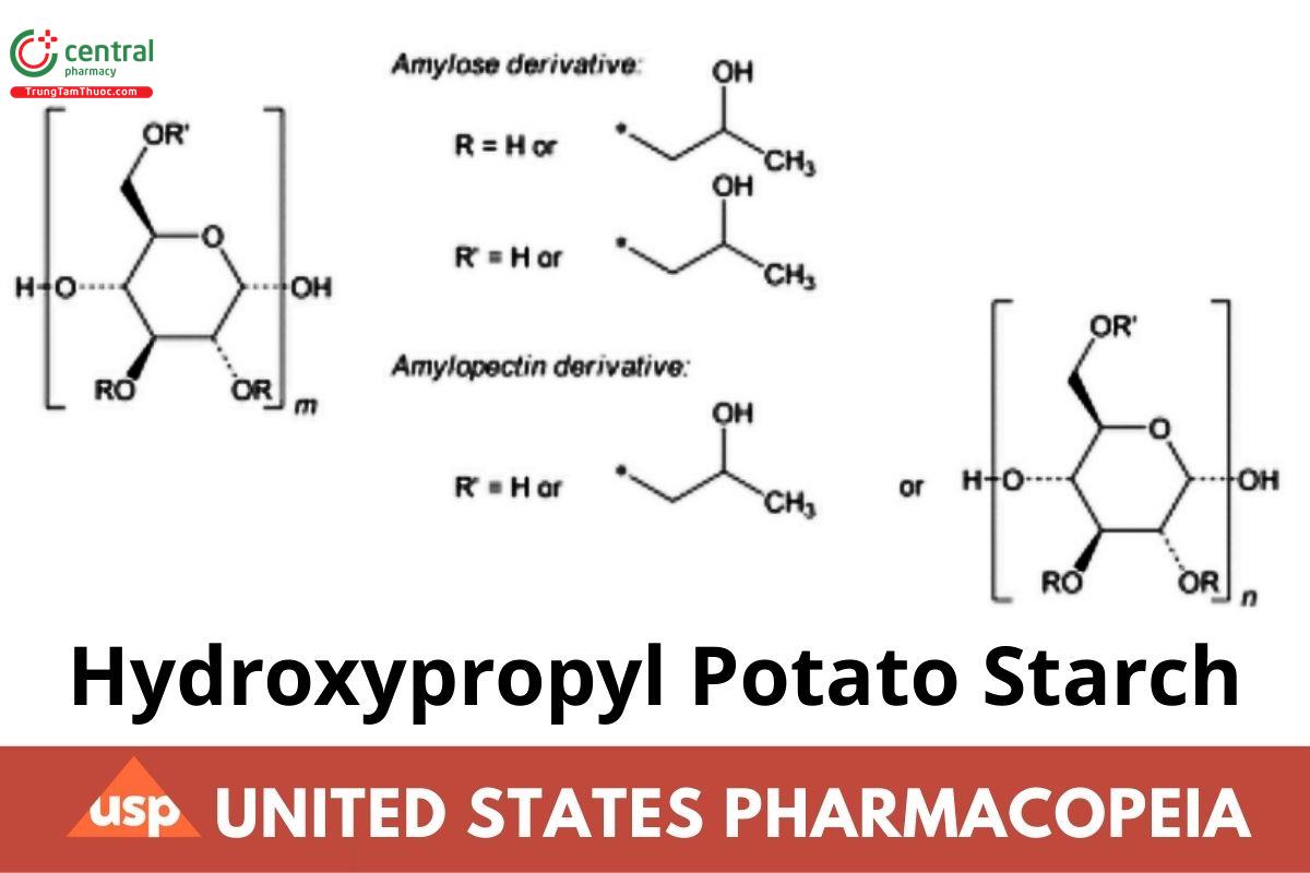 Hydroxypropyl Potato Starch