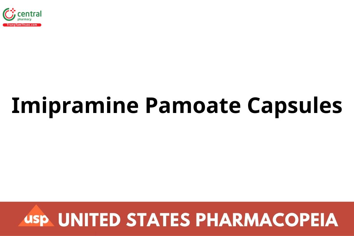 Imipramine Pamoate Capsules