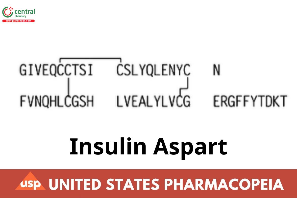Insulin Aspart