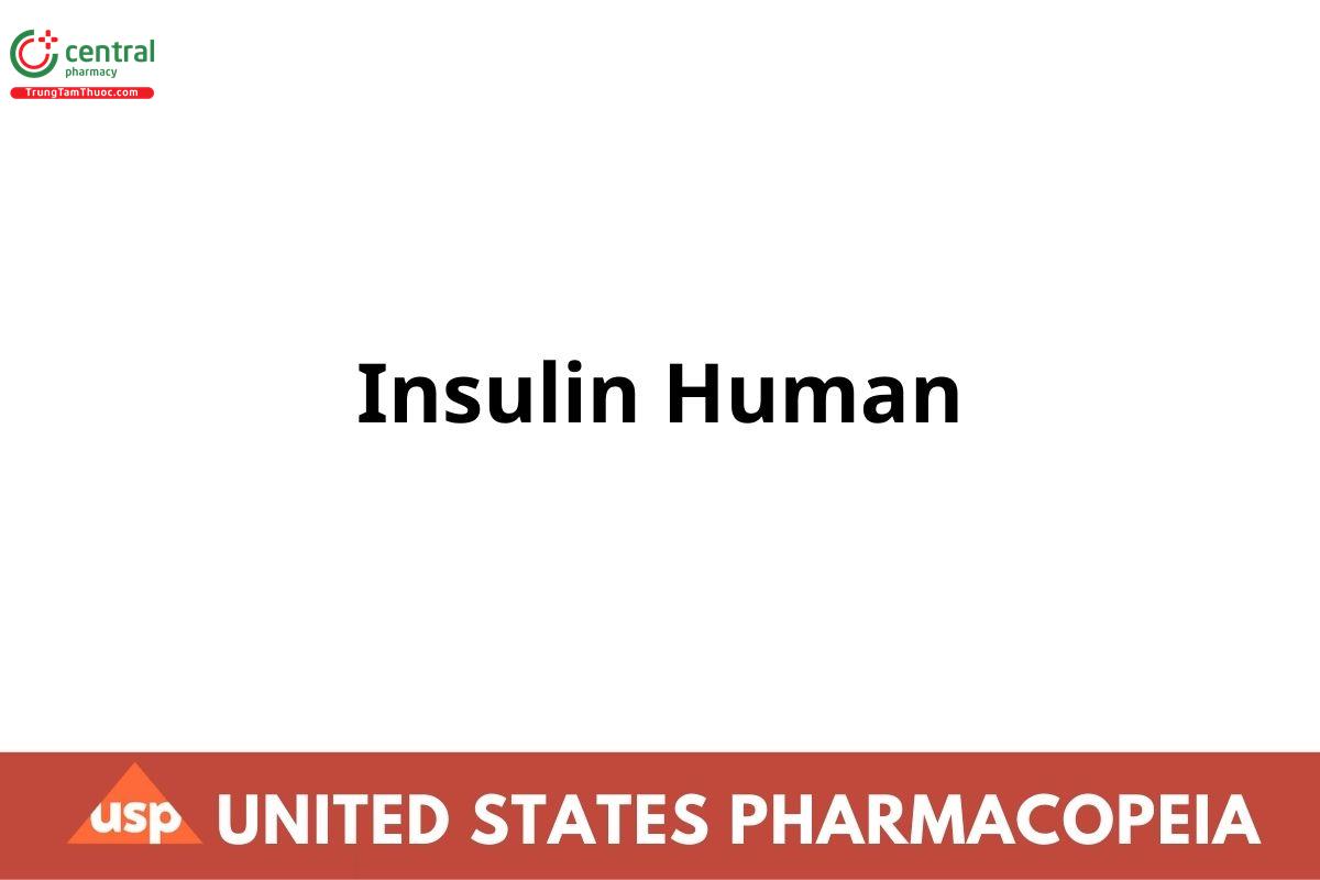Insulin Human