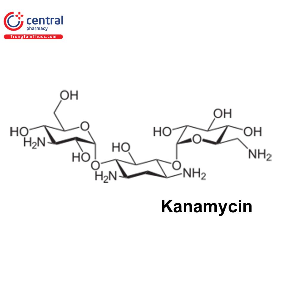 Kanamycin