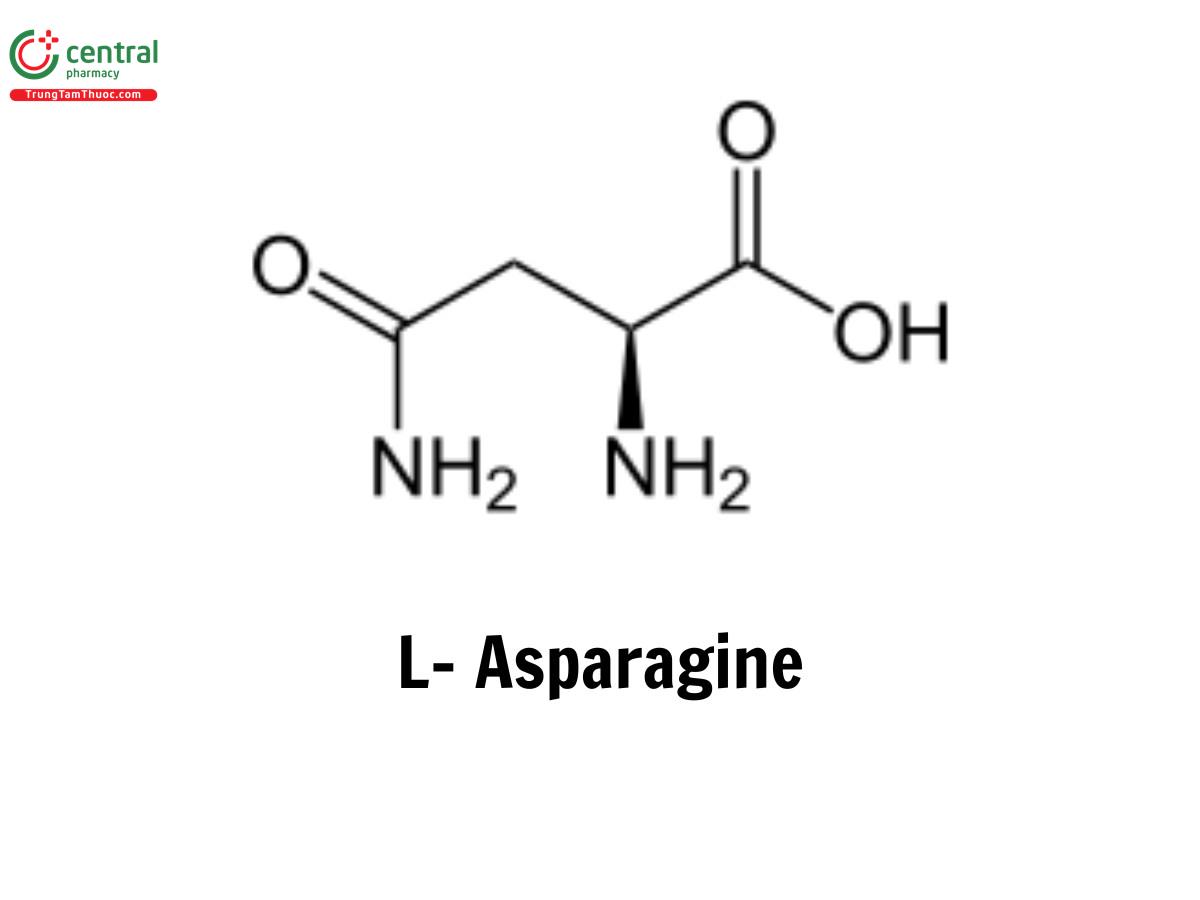 L- Asparagine