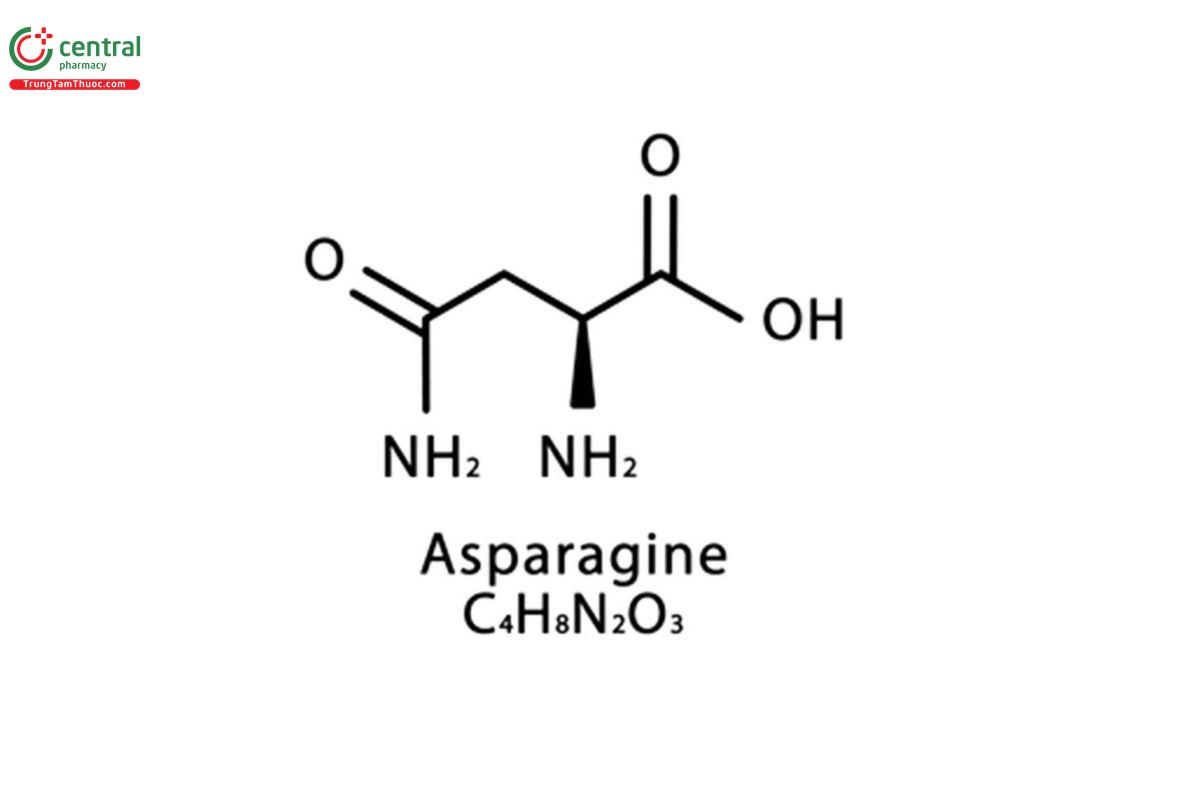 L-Asparaginase