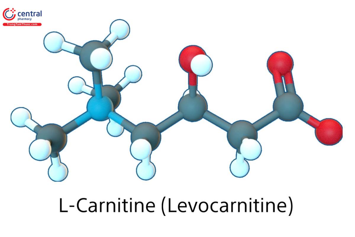 L-Carnitine (Levocarnitine tartrate)