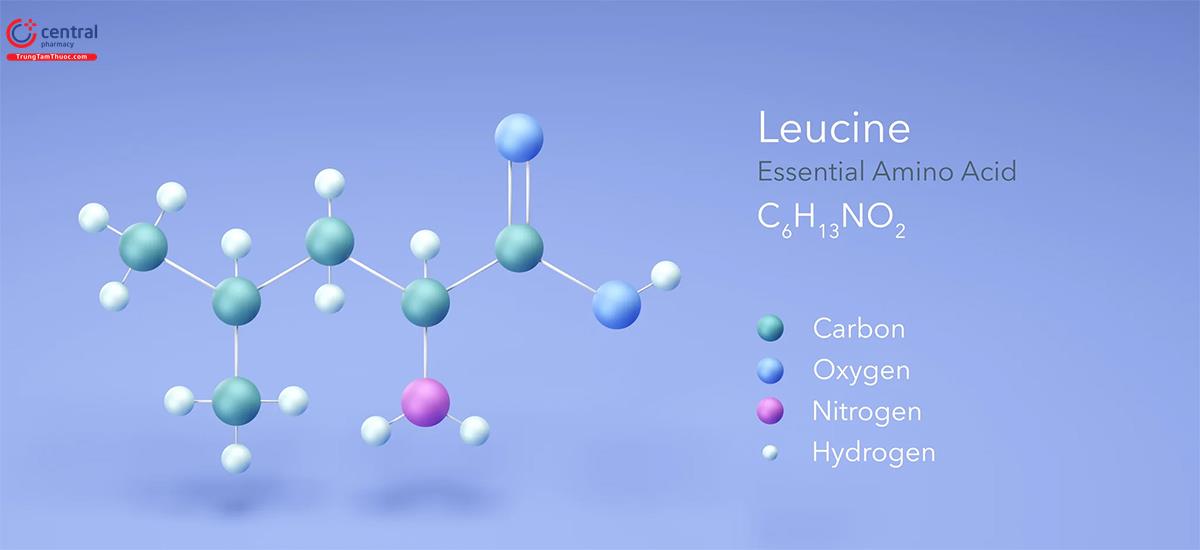 L-Leucine