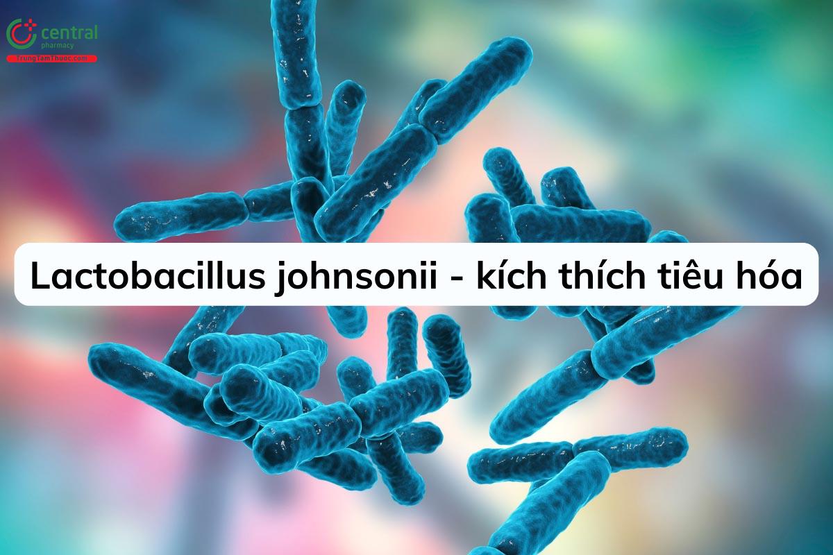 Lactobacillus johnsonii 