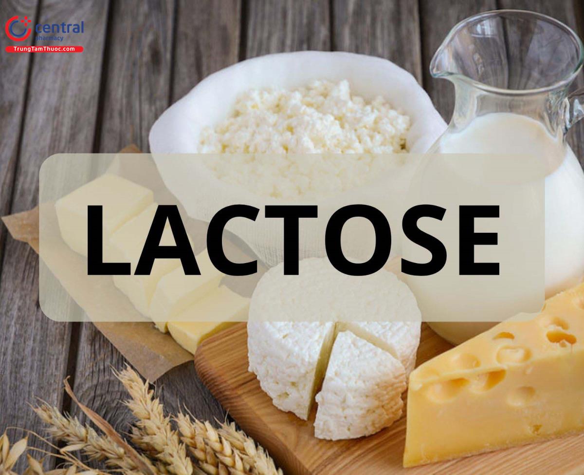 Lactose