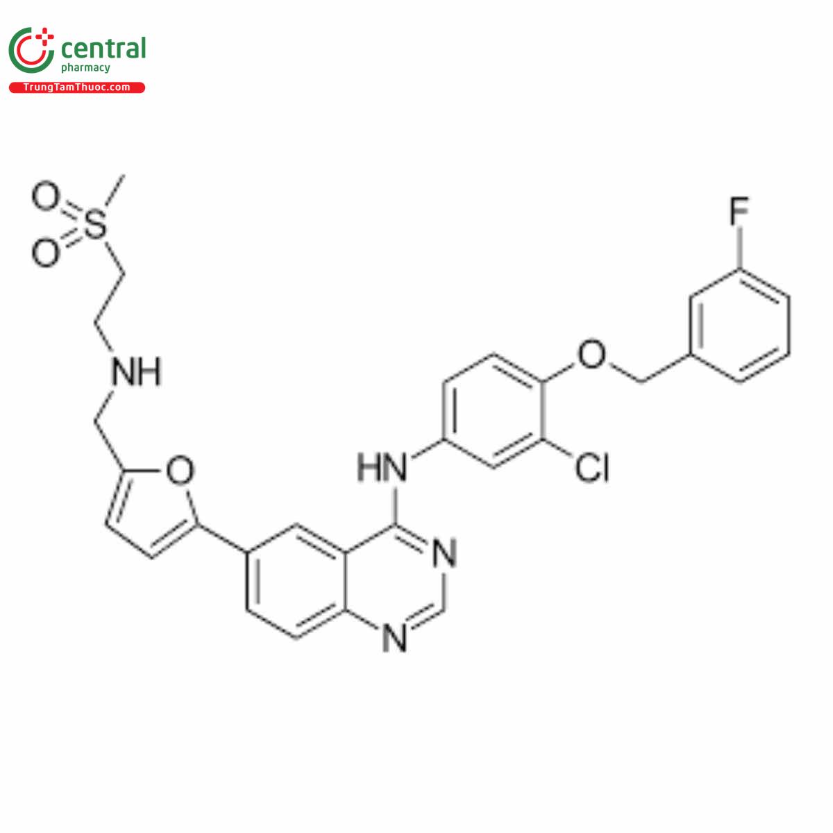 Lapatinib