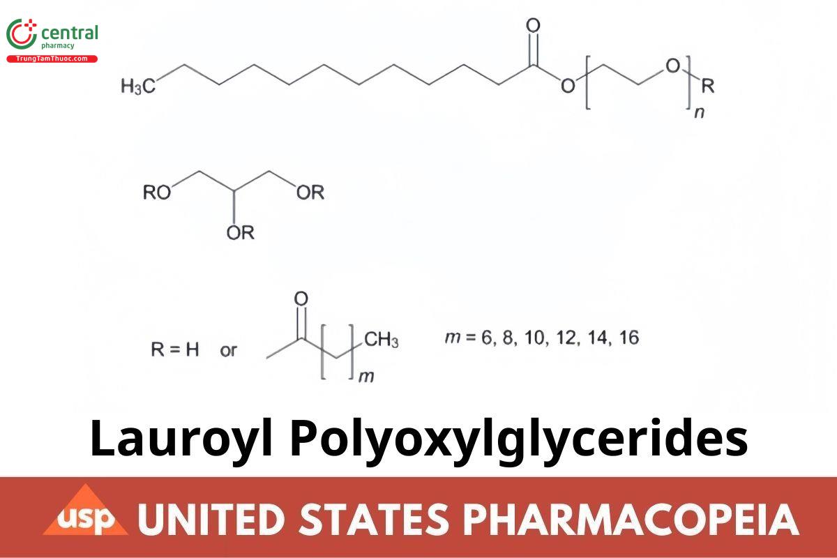 Lauroyl Polyoxylglycerides