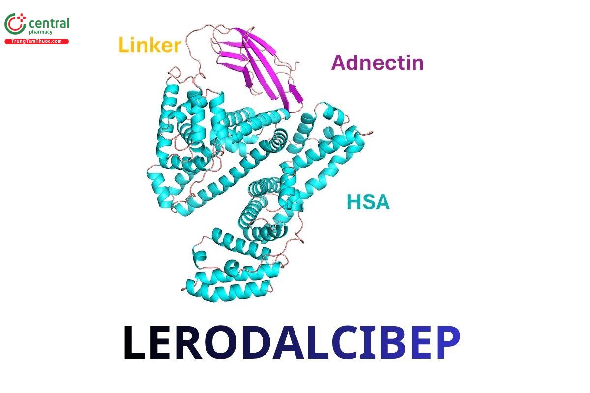 Lerodalcibep